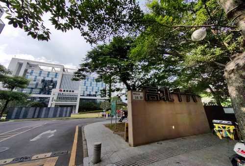 上海便宜狗粮零食营养品工厂直销